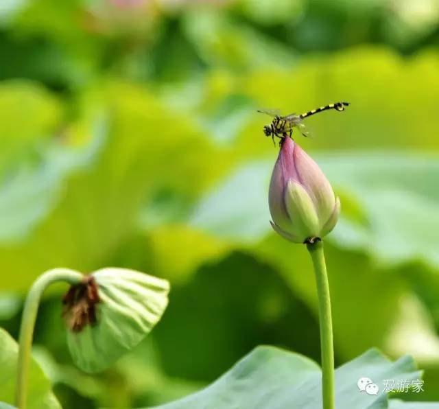 按此在新窗口打开图片