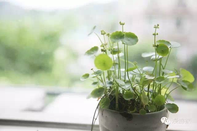 按此在新窗口打开图片