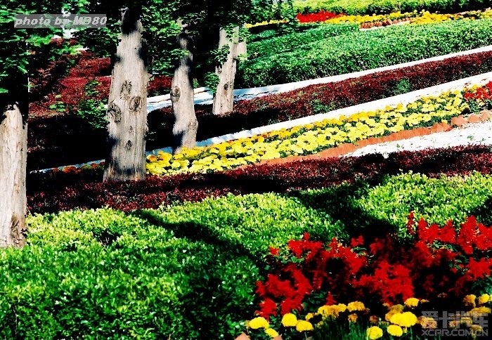 按此在新窗口打开图片