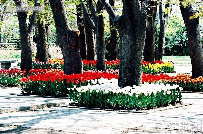 按此在新窗口打开图片