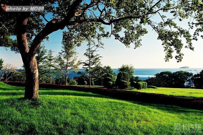 按此在新窗口打开图片